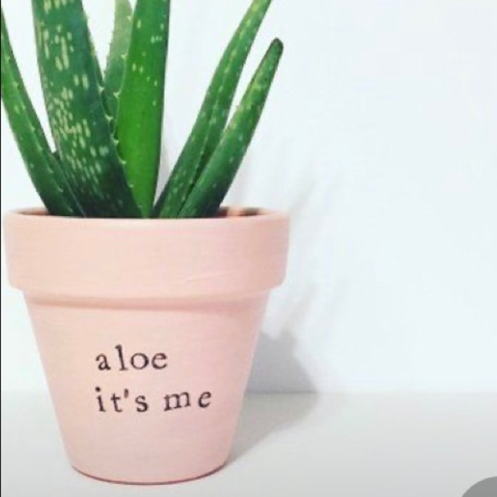 Meet your Posher, Krysten